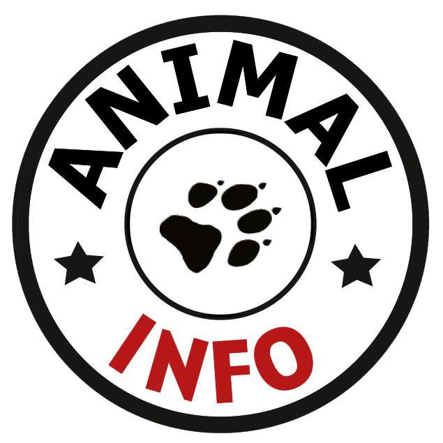 Animal Info