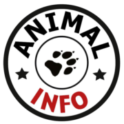 (c) Animal-info.de